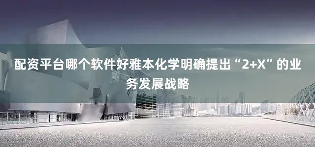 配资平台哪个软件好雅本化学明确提出“2+X”的业务发展战略