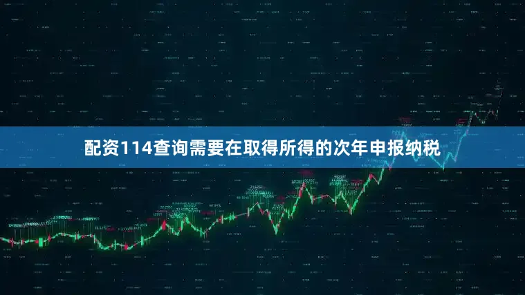 配资114查询需要在取得所得的次年申报纳税