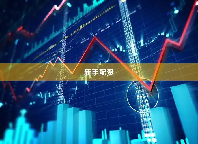 新手配资